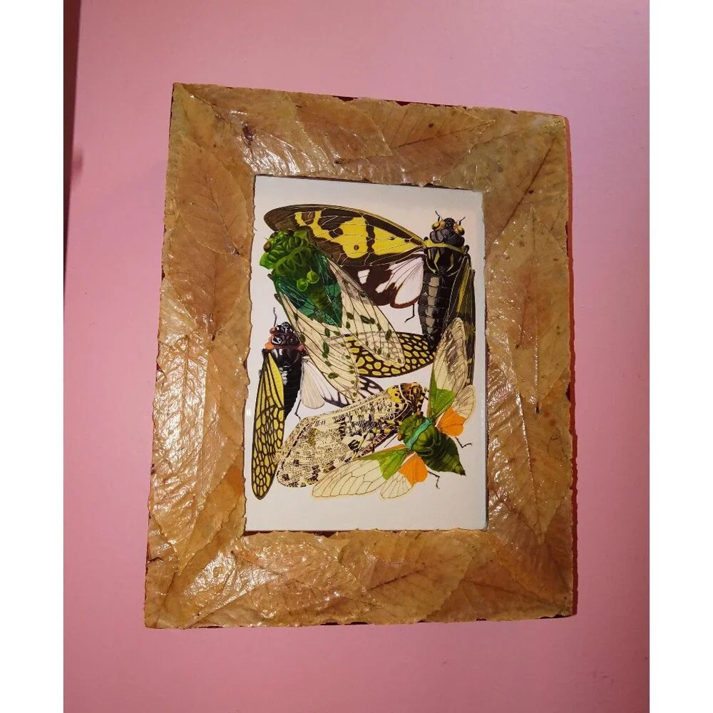 Vintage Art Print of Cicadas in Frame with Real Leaves goth witchy nature insect